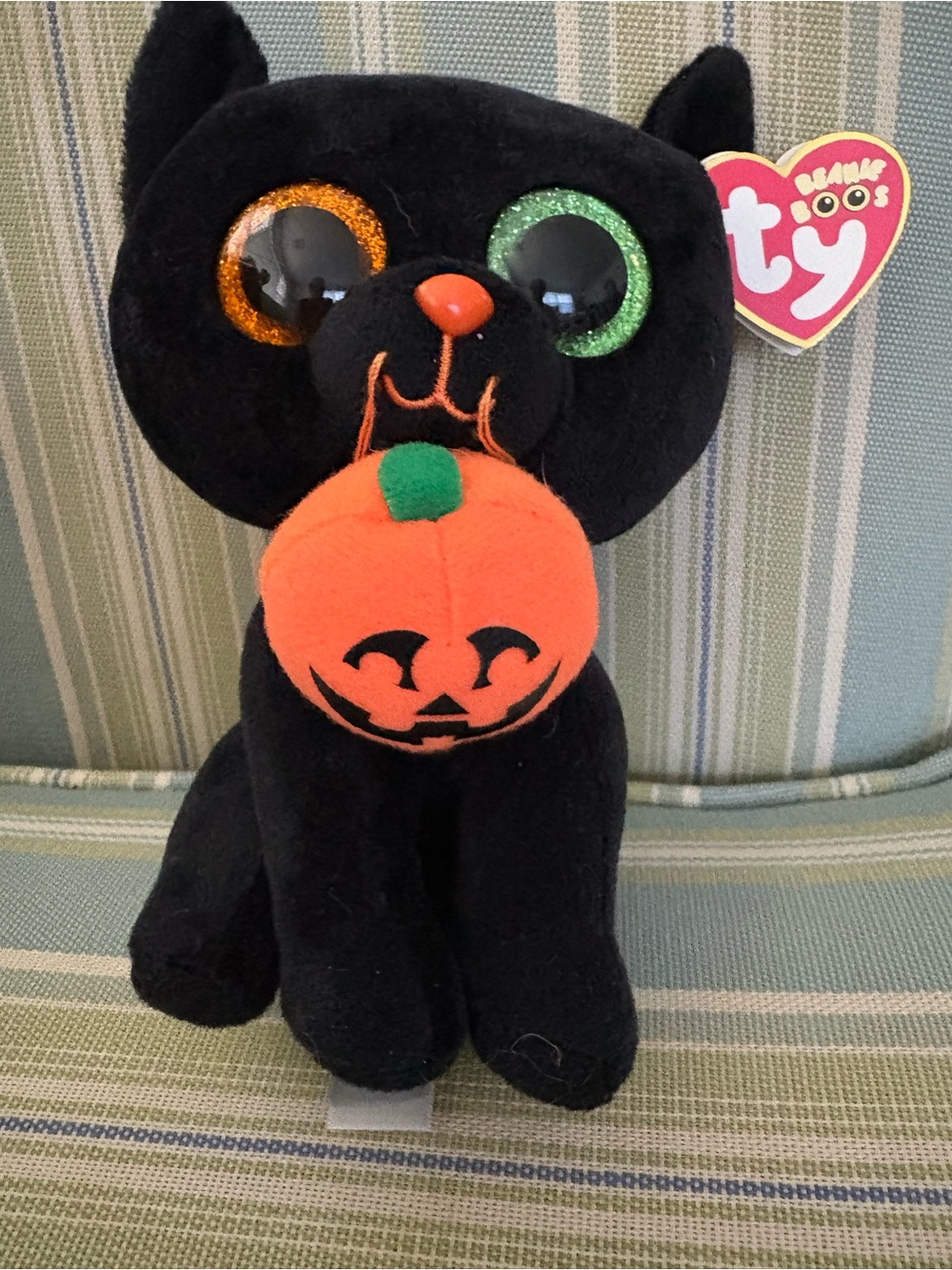 Ty shadow Black Cat Beanie Boo with Orange Pumpkin and Green/Orange Glitter Eyes